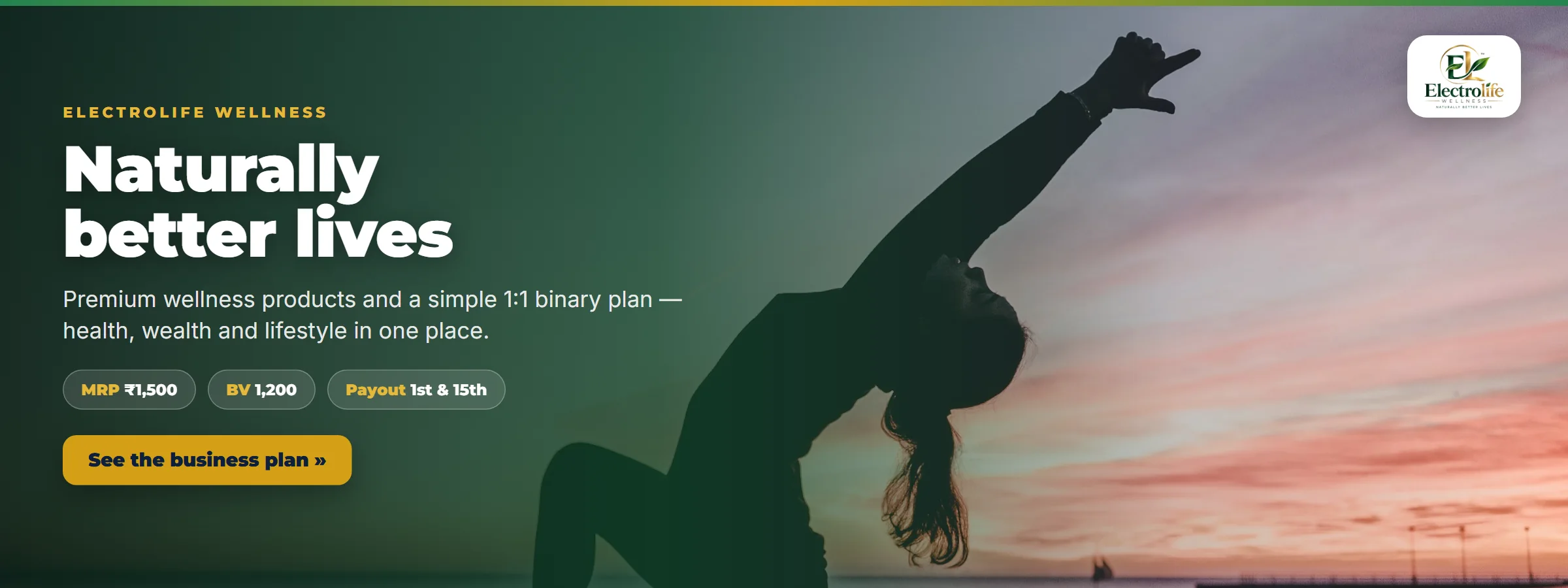 Electrolife Wellness